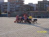 thumb_syrako belpasso 016.jpg